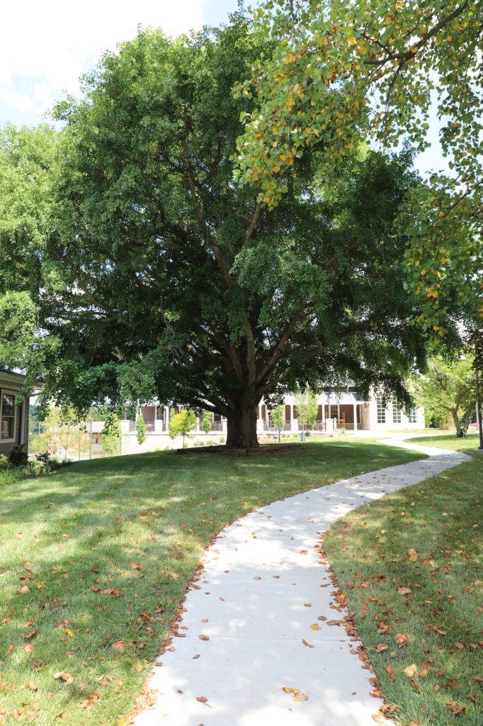 Frontier Nursing University walking trail